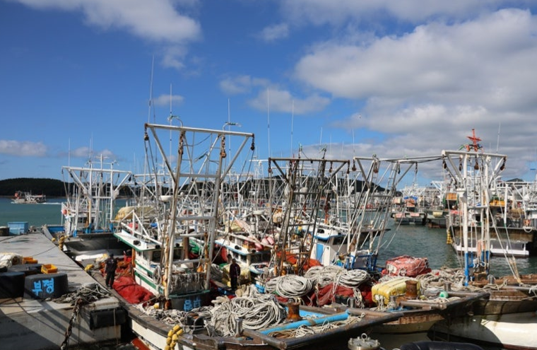 1764827845267631.png image.png