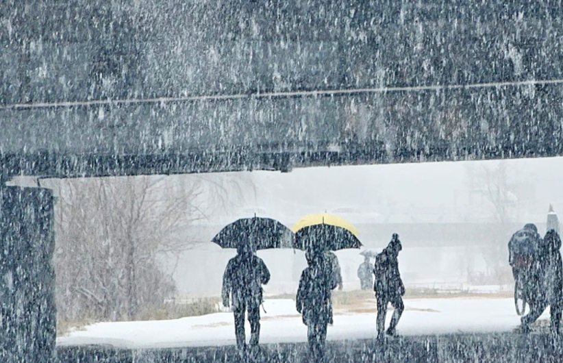 1767930171702131.png image.png